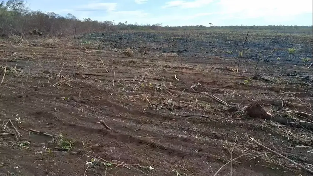 Fazenda, 2200 m² - Foto 7