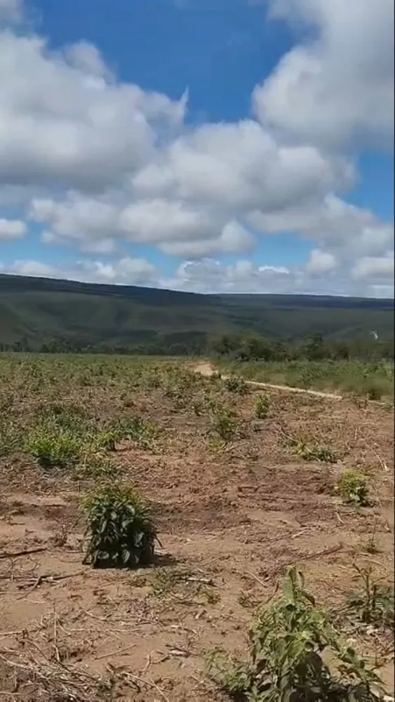 Fazenda, 2200 m² - Foto 6