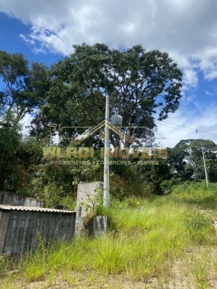 Depósito-Galpão - Foto 5