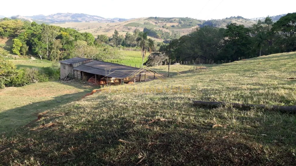 Fazenda à venda, 4m² - Foto 4