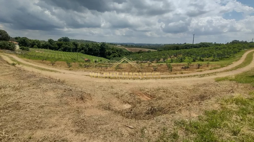 Sítio, 5 hectares - Foto 18