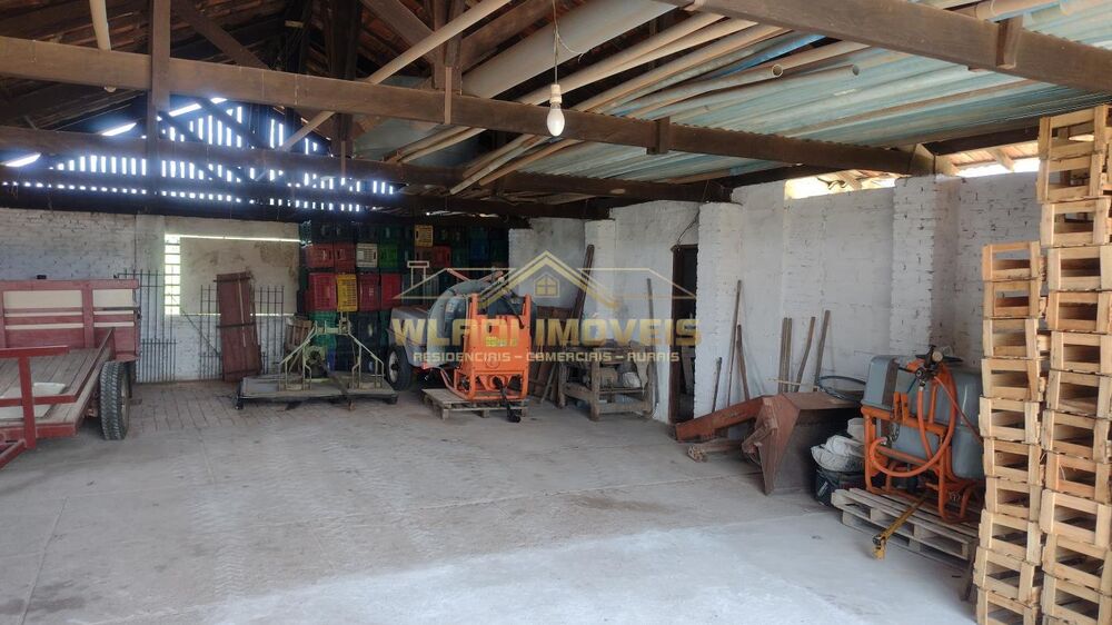 Sítio, 5 hectares - Foto 15