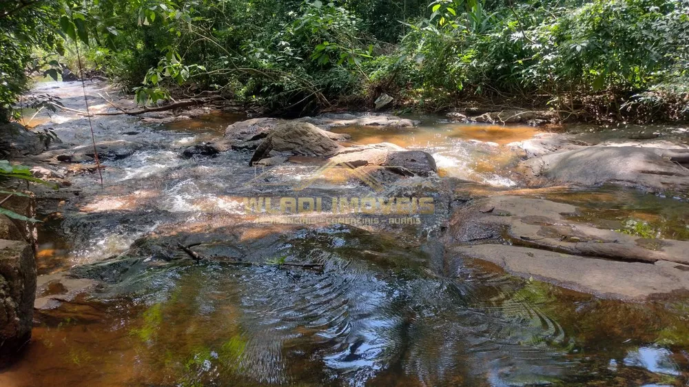 Sítio, 5 hectares - Foto 2