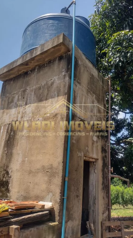 Sítio, 5 hectares - Foto 7