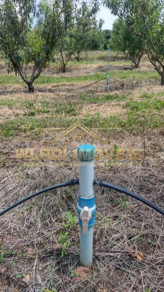 Sítio, 5 hectares - Foto 26