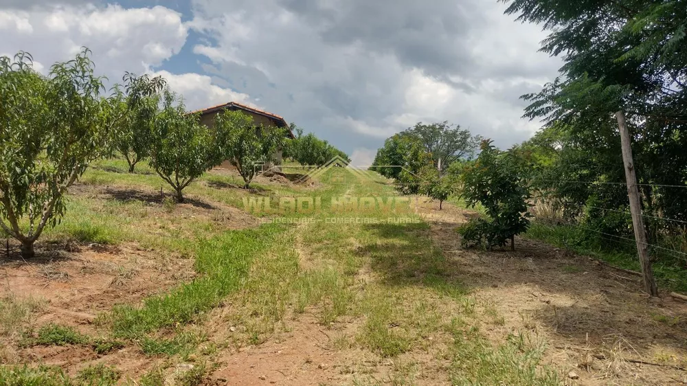 Sítio, 5 hectares - Foto 27