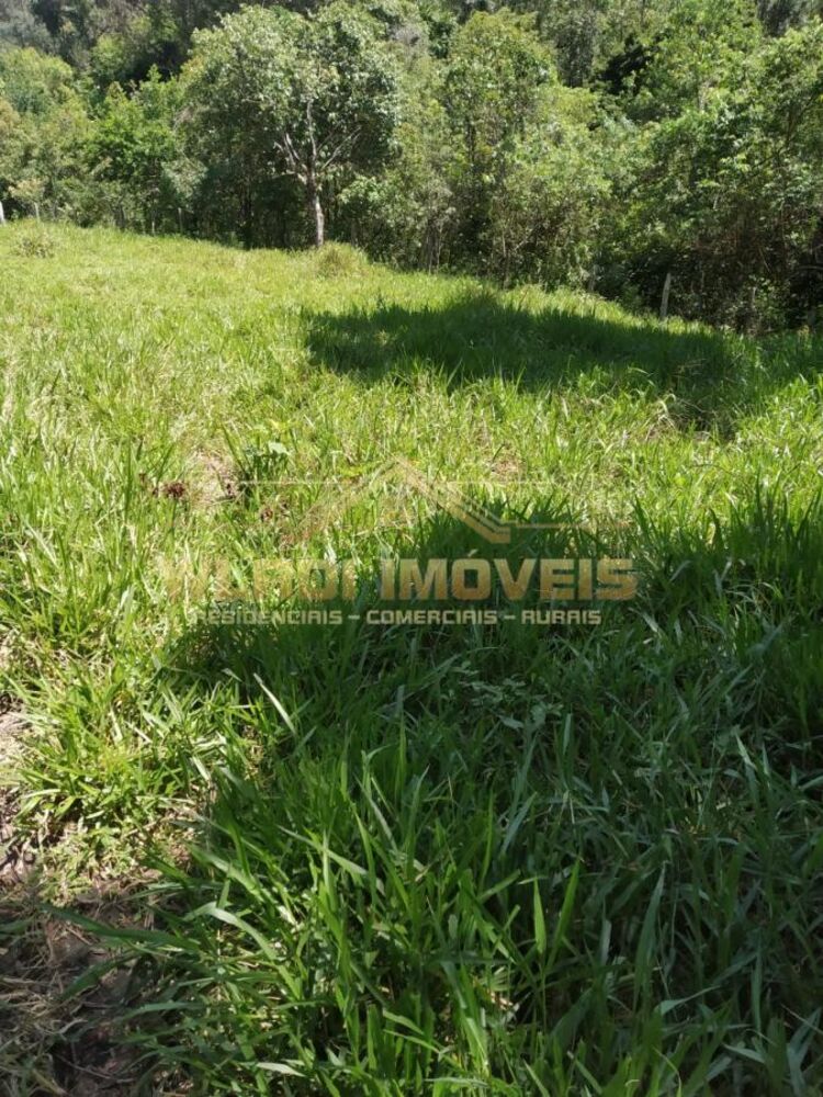 Sítio à venda, 41000m² - Foto 5