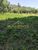 Sítio, 4 hectares - Foto 11