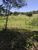 Sítio, 4 hectares - Foto 8
