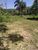 Sítio, 4 hectares - Foto 4