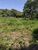 Sítio, 4 hectares - Foto 6