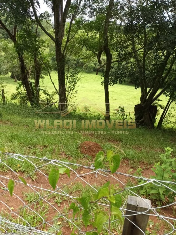 Fazenda à venda com 3 quartos, 48400m² - Foto 12