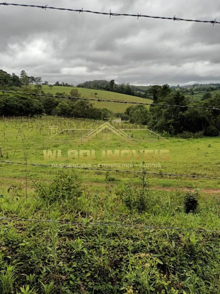 Fazenda à venda com 3 quartos, 48400m² - Foto 3