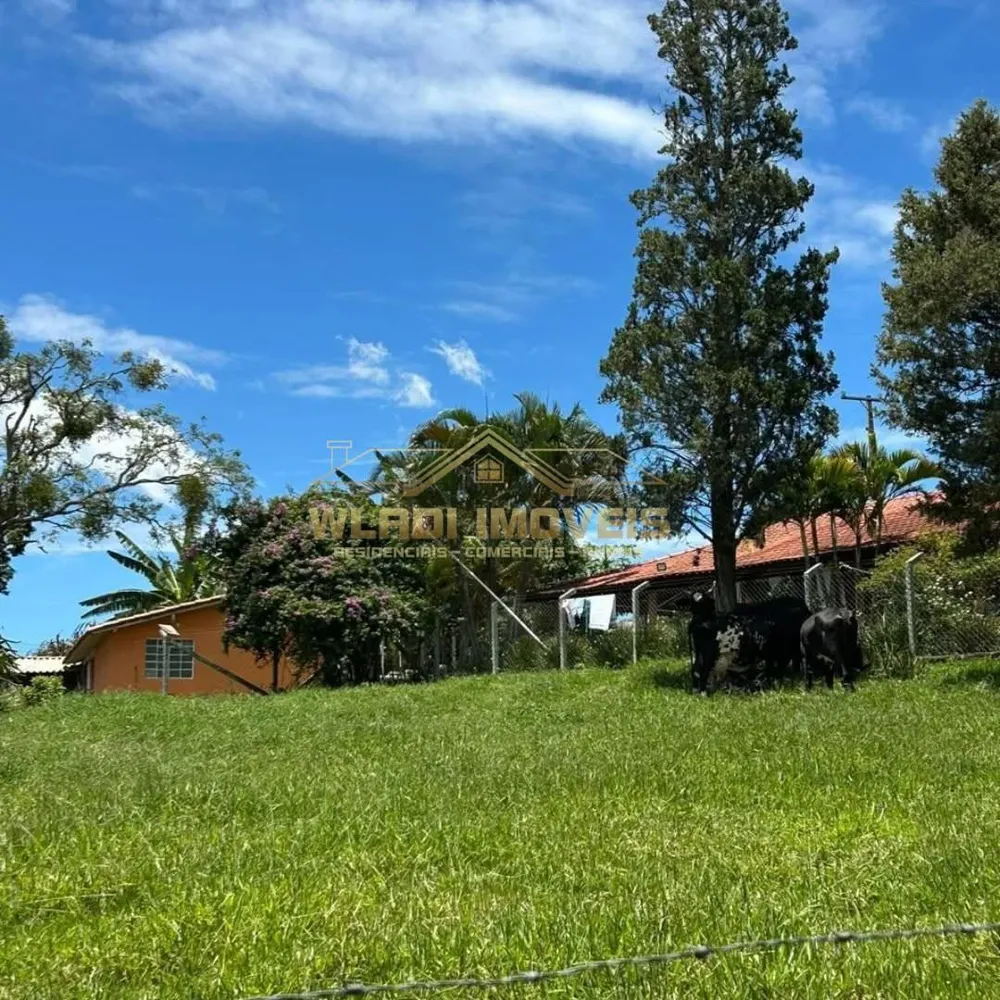 Sítio, 5 quartos, 5 hectares - Foto 9