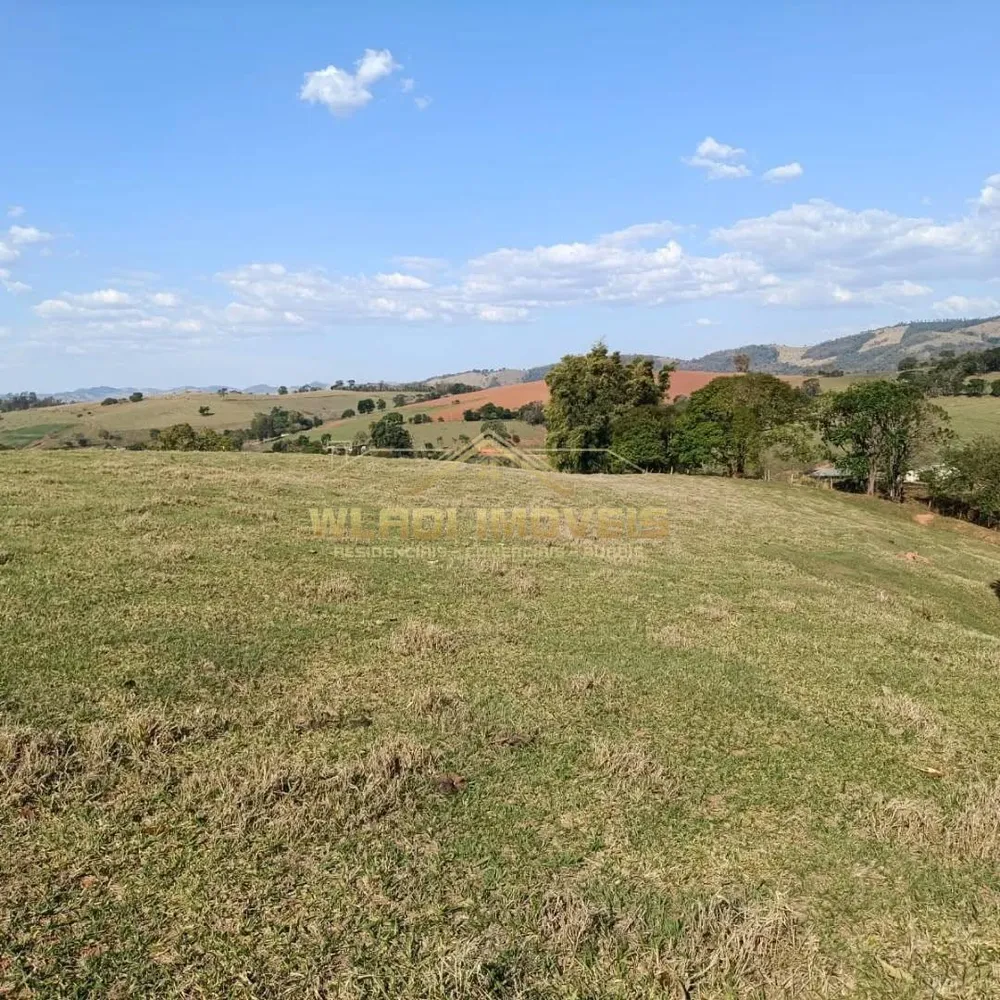 Sítio, 5 quartos, 5 hectares - Foto 7