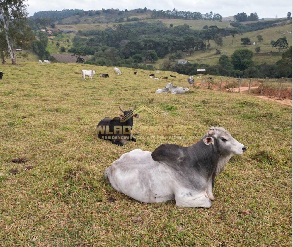 Fazenda à venda, 315m² - Foto 3