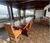 Fazenda-Sítio-Chácara, 315 m² - Foto 10