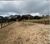 Fazenda-Sítio-Chácara, 315 m² - Foto 8