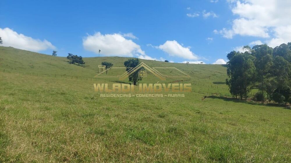 Sítio, 5 quartos, 4 m² - Foto 7