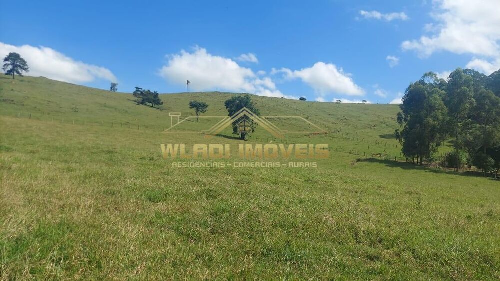 Sítio, 5 quartos, 4 m² - Foto 1