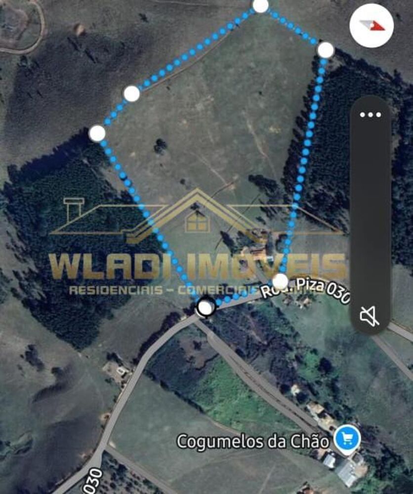 Sítio, 5 quartos, 4 m² - Foto 4