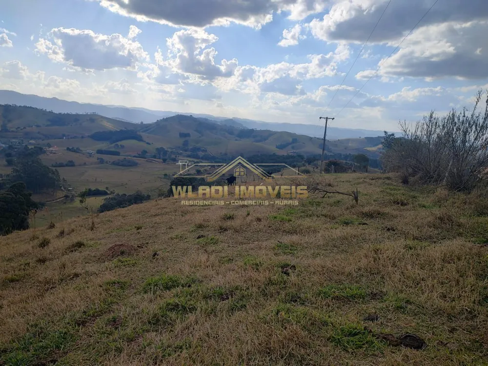 Terreno, 2 hectares - Foto 9
