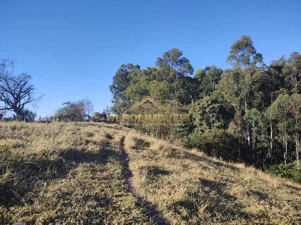 Terreno, 2 hectares - Foto 4