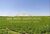 Fazenda-Sítio-Chácara, 1 hectares - Foto 1