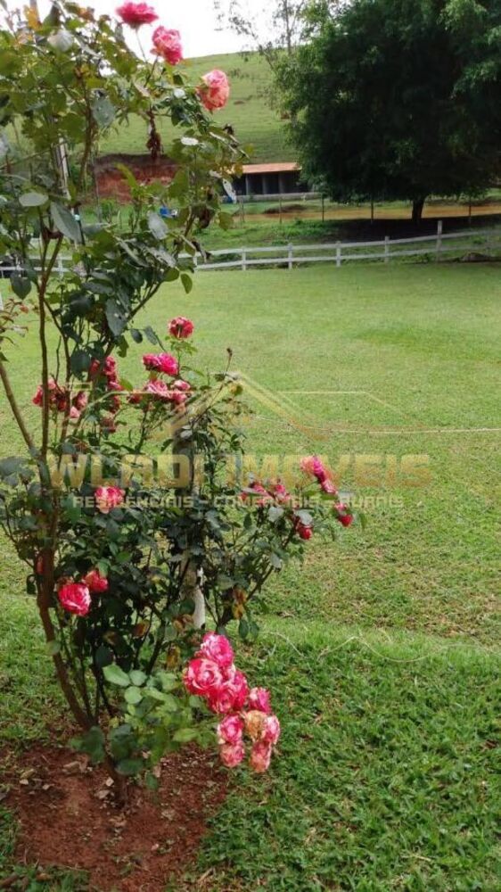 Sítio, 3 quartos, 5 hectares - Foto 9