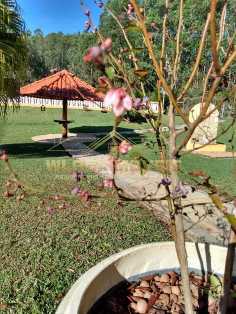 Sítio, 3 quartos, 5 hectares - Foto 17
