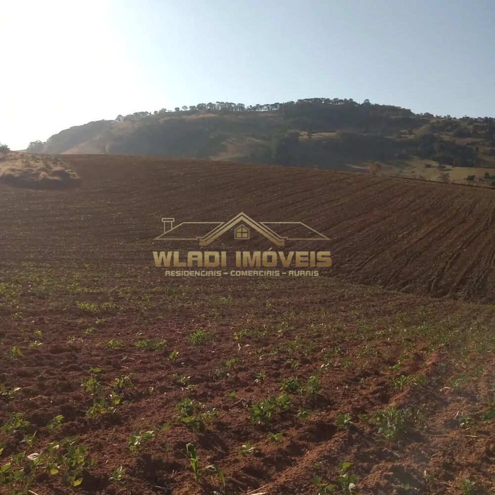 Sítio, 14 m² - Foto 7