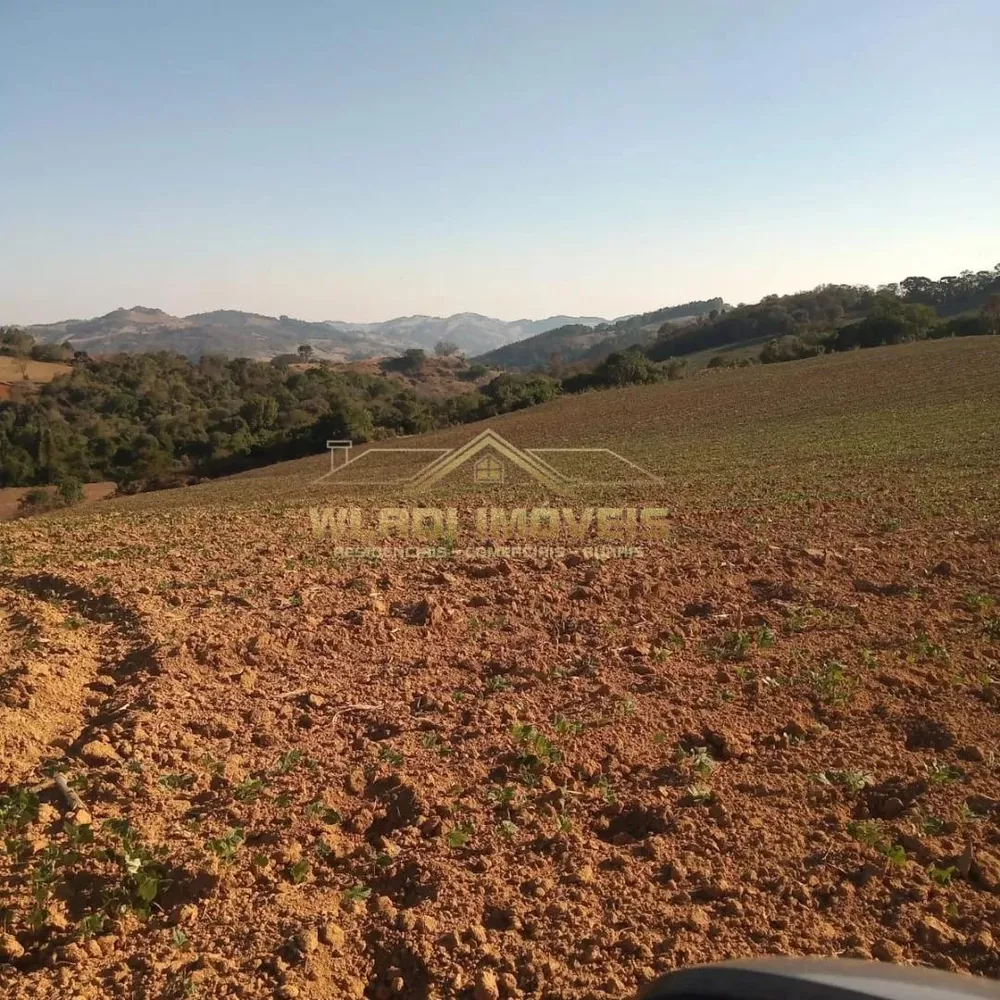 Sítio, 14 m² - Foto 6