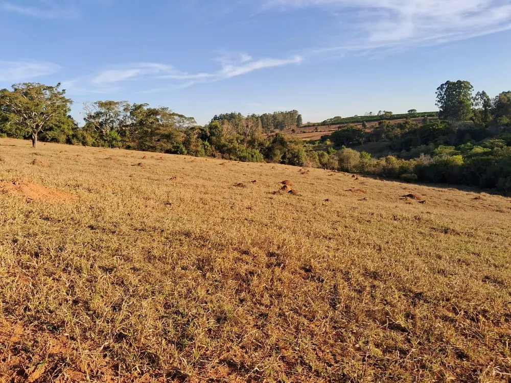 Fazenda à venda, 36000m² - Foto 3