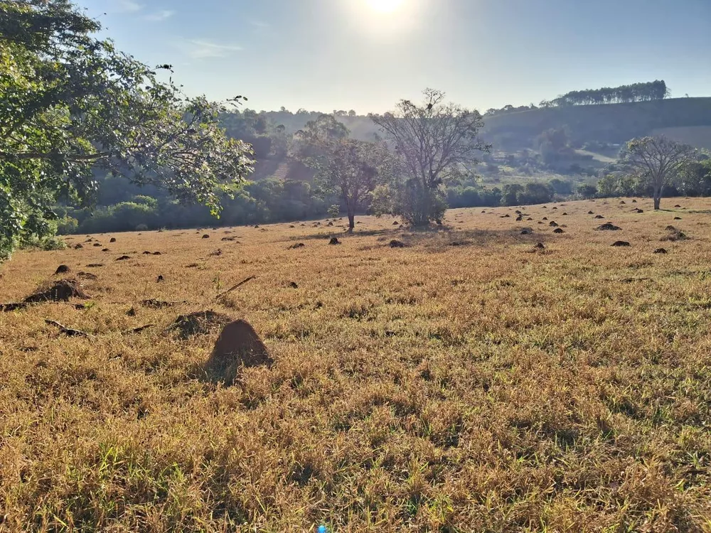 Fazenda à venda, 36000m² - Foto 7