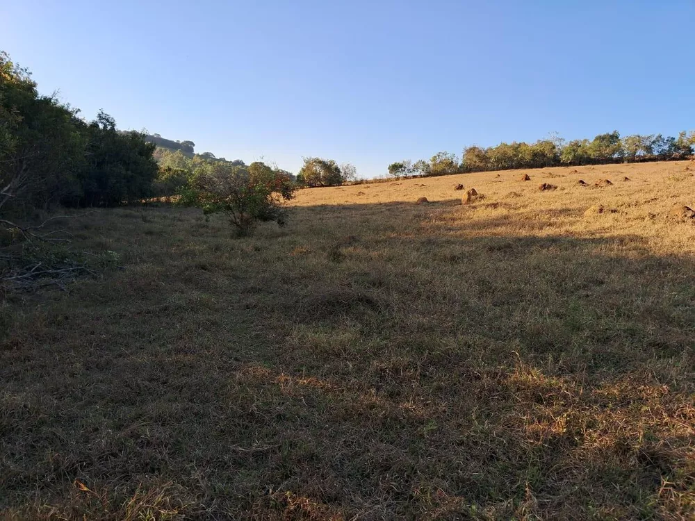 Fazenda à venda, 36000m² - Foto 6