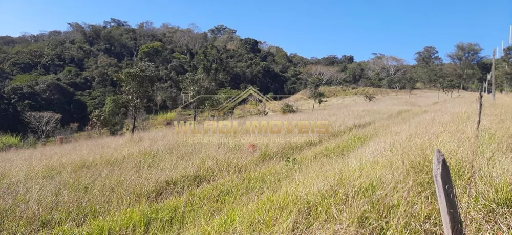 Sítio, 10 hectares - Foto 12