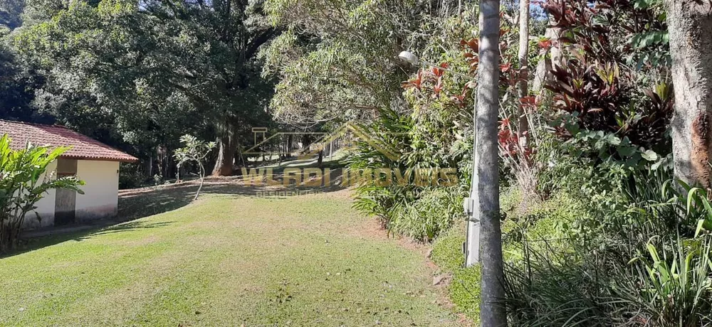 Sítio, 10 hectares - Foto 34