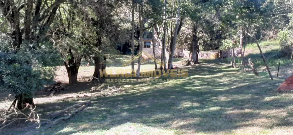 Sítio, 10 hectares - Foto 32