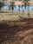 Terreno, 1280 m² - Foto 4