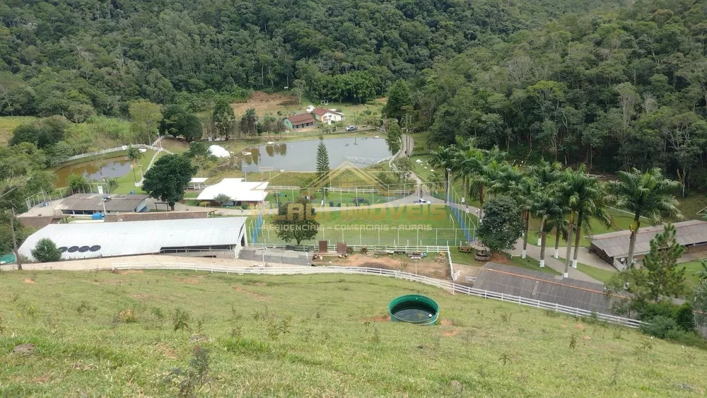 Sítio, 9 hectares - Foto 6