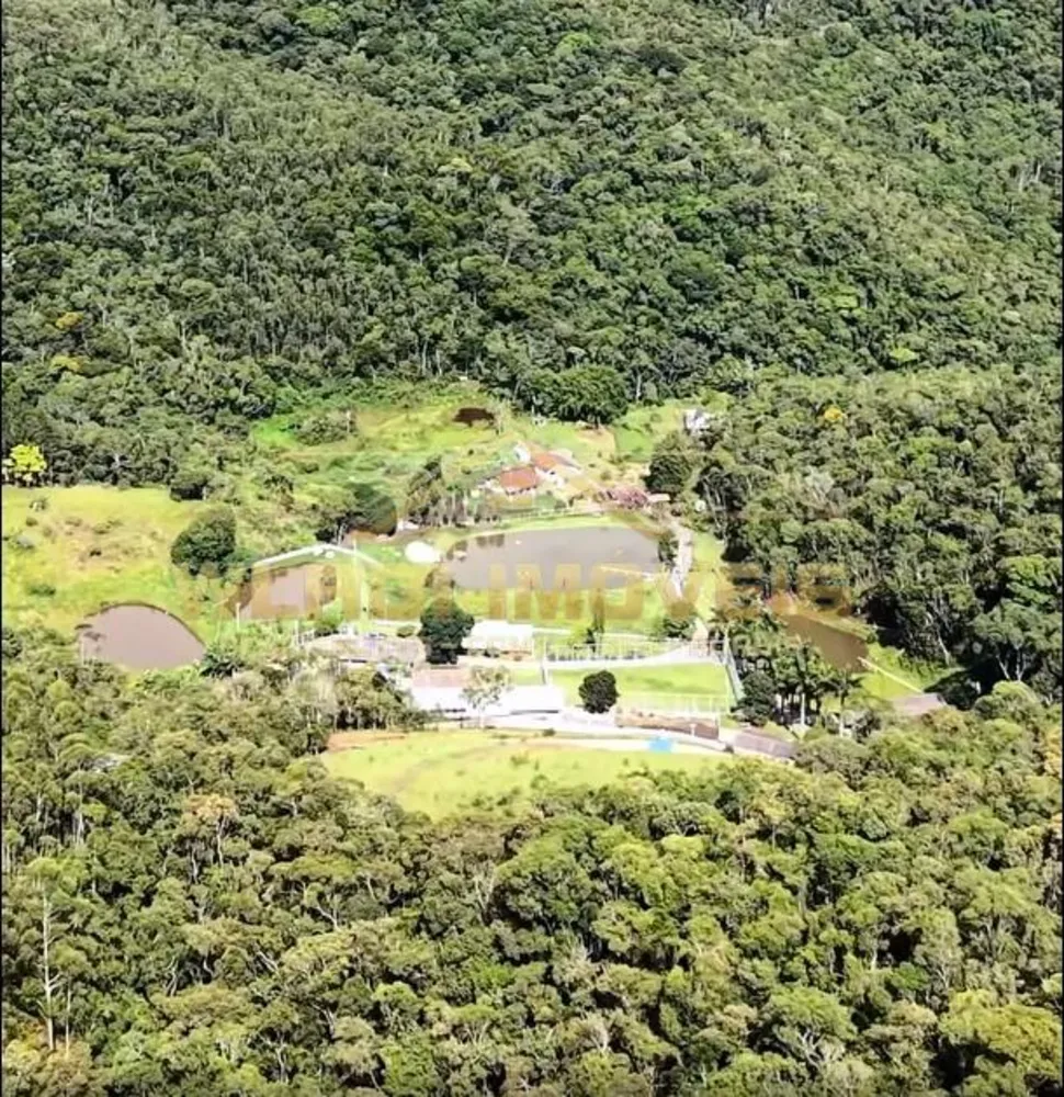 Sítio, 9 hectares - Foto 3