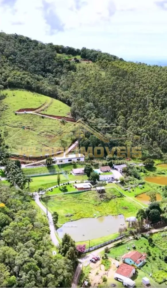 Sítio, 9 hectares - Foto 2