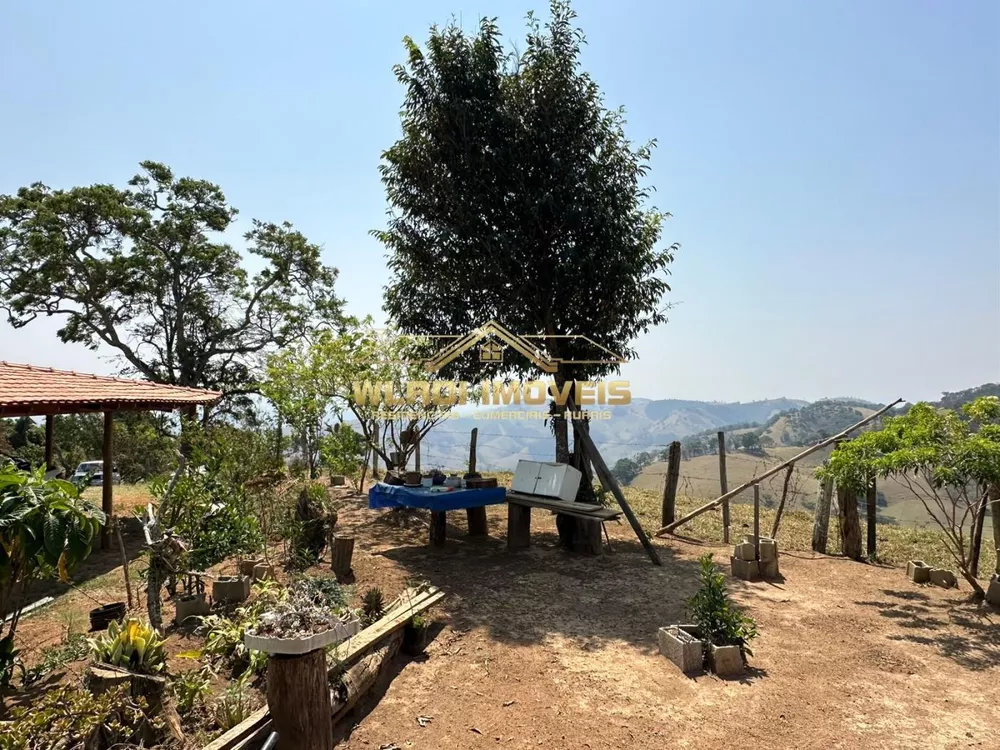 Sítio, 3 hectares - Foto 6