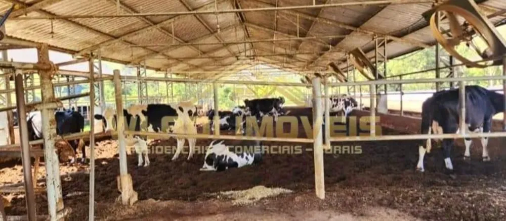 Fazenda, 196 m² - Foto 2