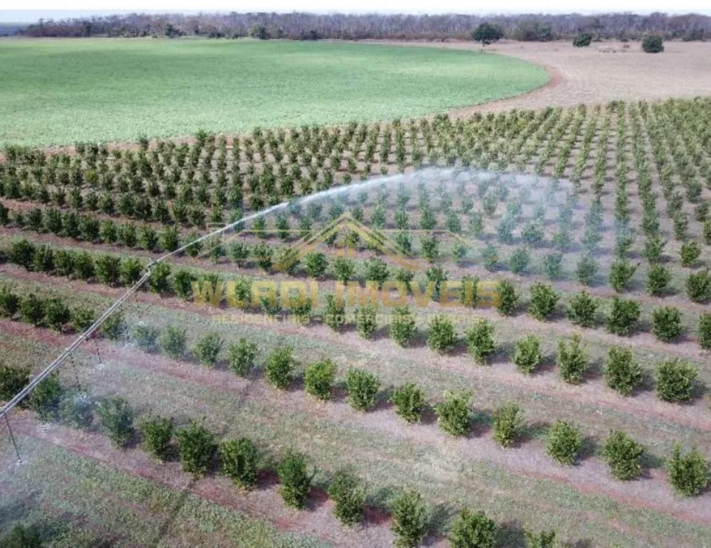 Fazenda, 158 m² - Foto 4