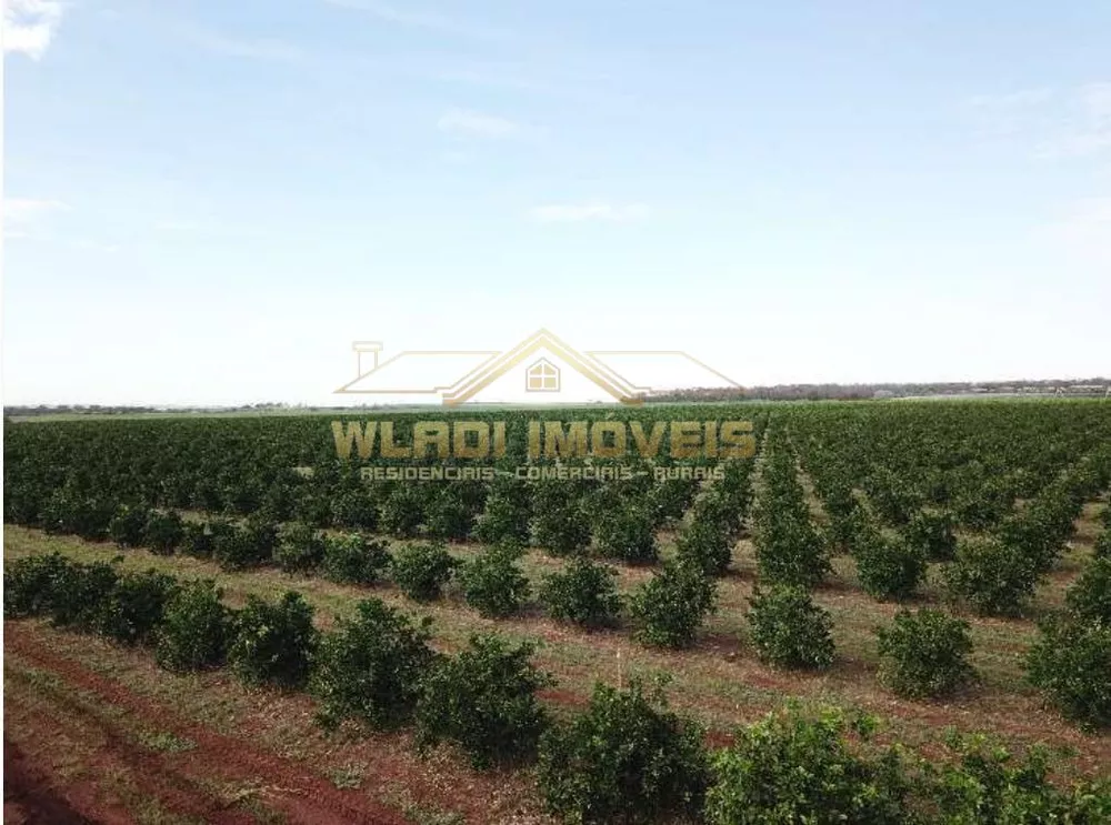 Fazenda, 158 m² - Foto 10