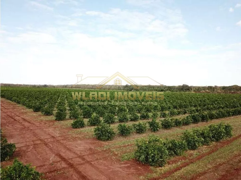 Fazenda, 158 m² - Foto 9