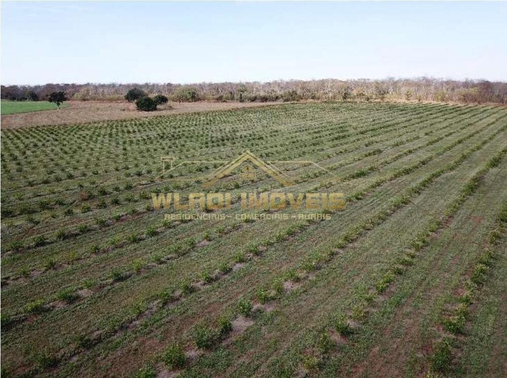 Fazenda, 158 m² - Foto 18