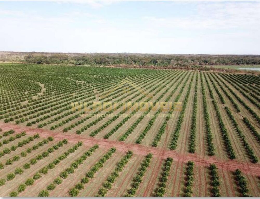 Fazenda, 158 m² - Foto 16