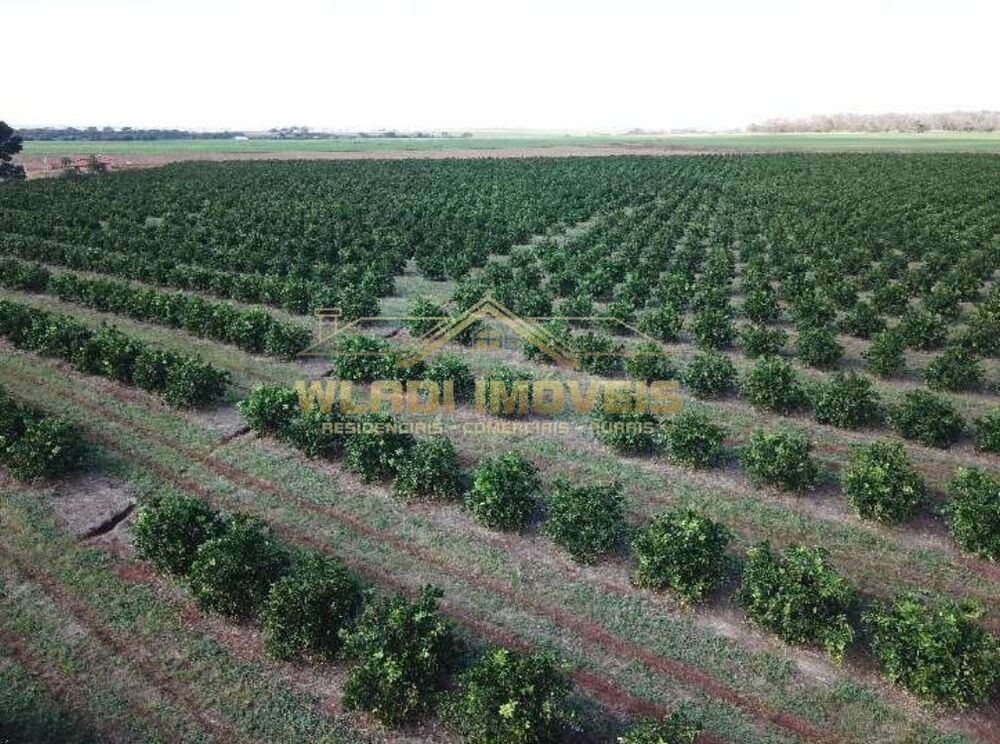 Fazenda, 158 m² - Foto 7